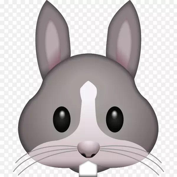 表情兔子iphone短信贴纸-灰兔PNG图片素材下载_图片编号1277770-PNG素材网