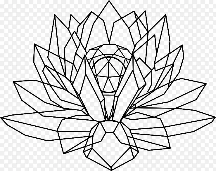 Nelumbo nucifera水晶画线艺术-捕梦器花