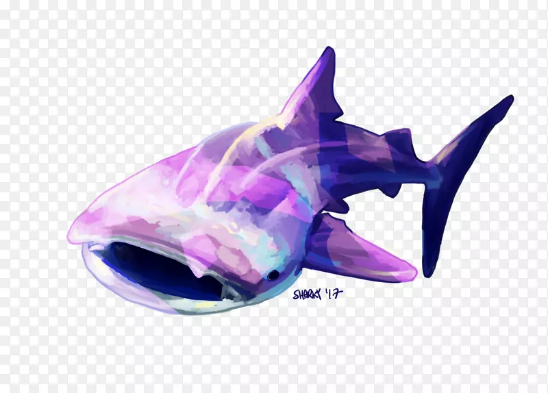 鲨鱼海洋海豚海洋生物-鲸鲨