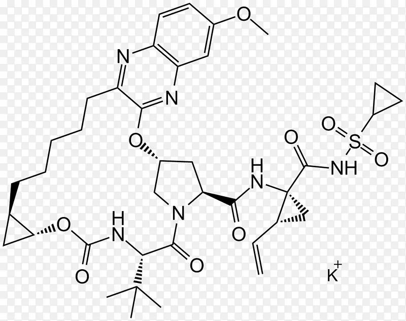 丙型肝炎病毒NS3蛋白酶抑制剂酶抑制剂