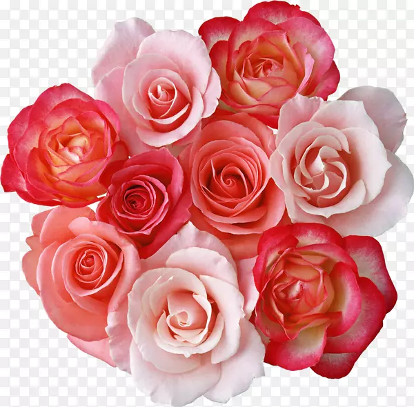 玫瑰花束粉色花朵剪贴艺术束