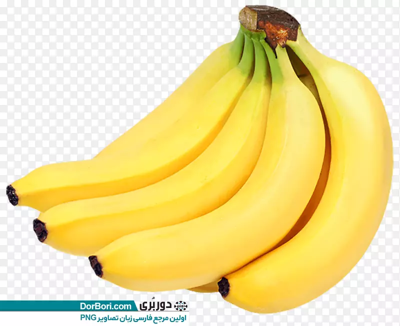 香蕉面包女士手指香蕉皮束
