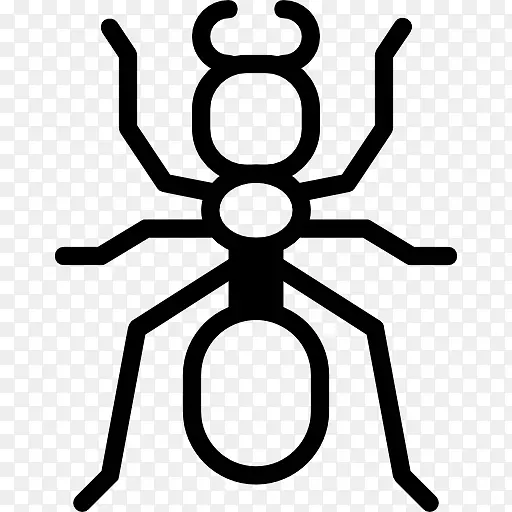 蚂蚁蚊虫防治-蚂蚁媒介