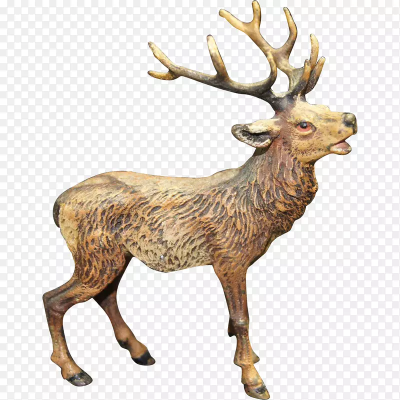 麝香鹿麋鹿驯鹿鹿角手绘动物