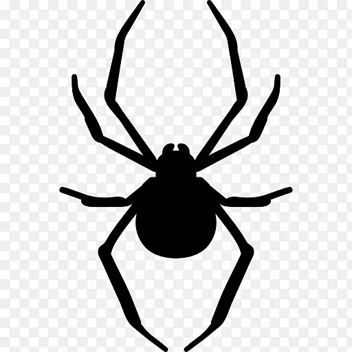 模板蜘蛛艺术剪影-蜘蛛