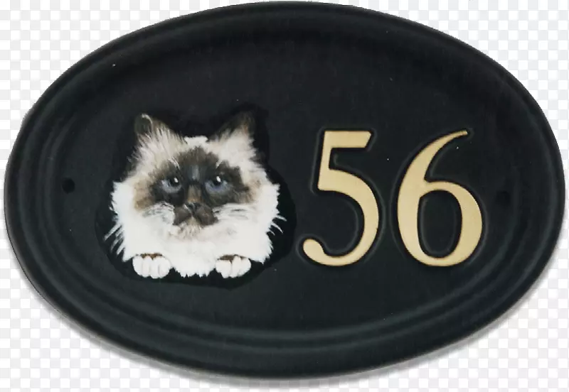 猫小胡须宠物屋手绘猫掌