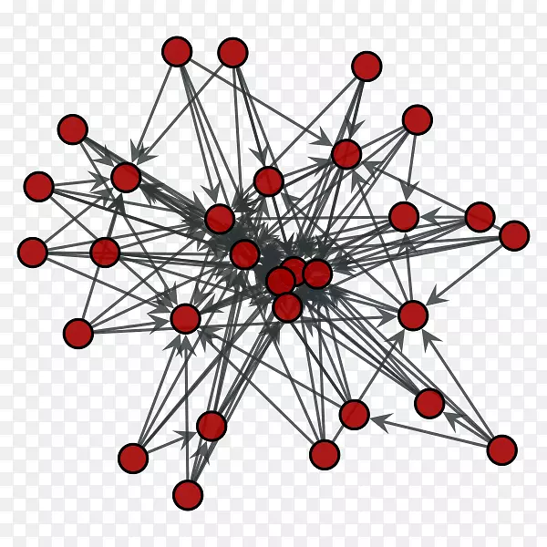 无标度网络优先附着点节点图-节点结构