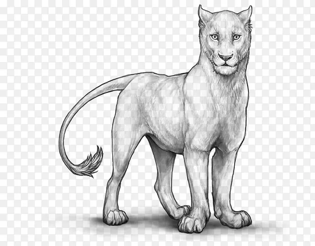 猫狮线画-白云