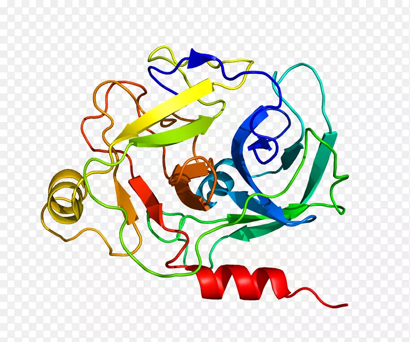 颗粒酶基因编码穿孔于人类基因组-微信表达19 0 1