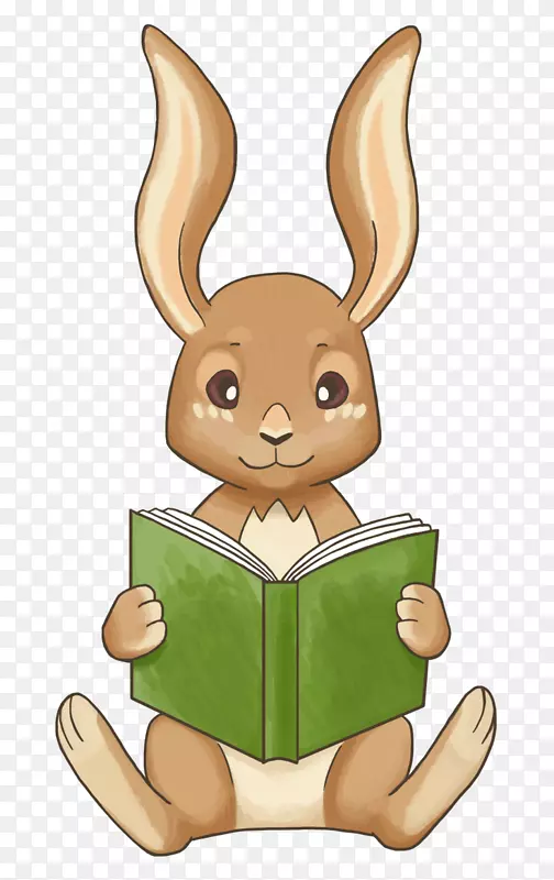 野兔在家学习教育-新鲜小兔