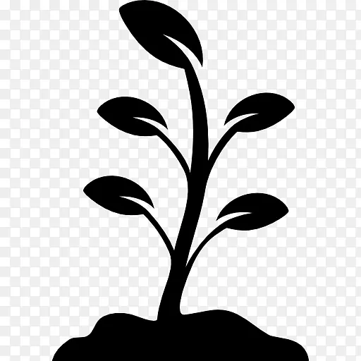 植物计算机图标-生长