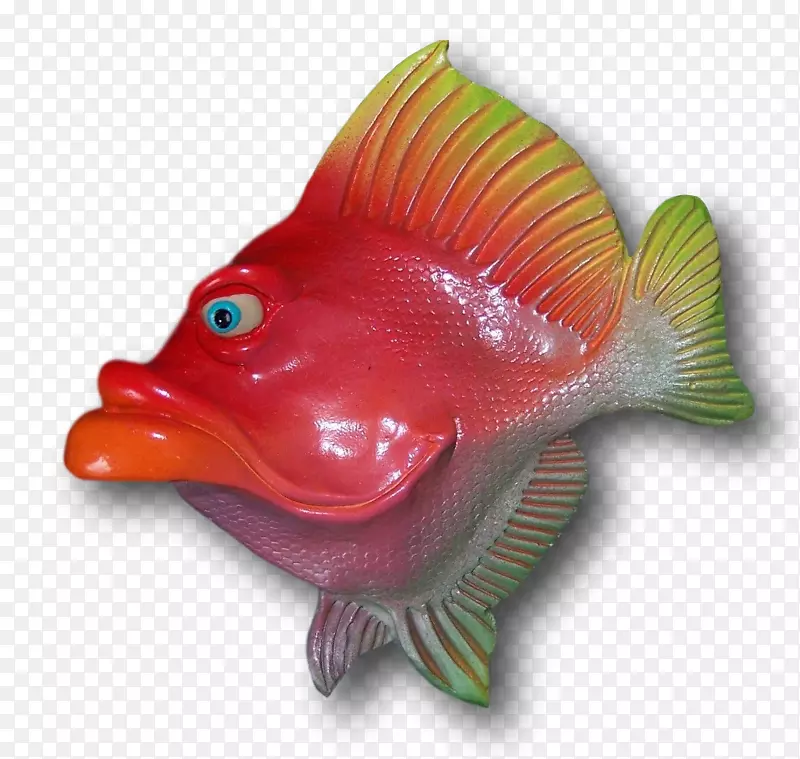 鱼类海洋生物有机体艺术家-可爱的鱼