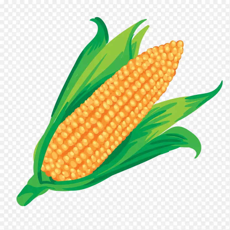 玉米芯-玉米汁上的玉米蔬菜玉米