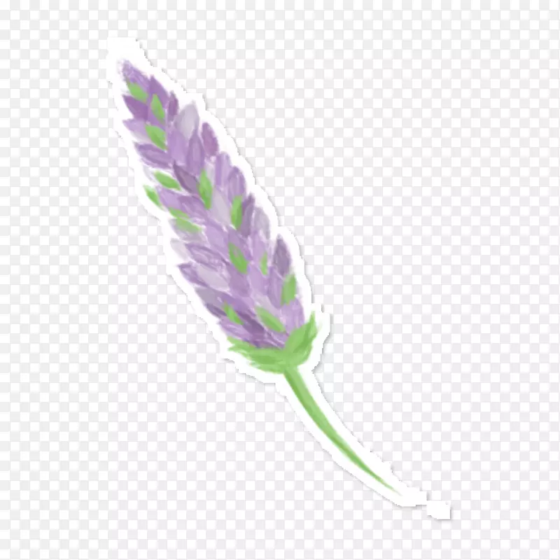 英国薰衣草淡紫色画紫罗兰-淡紫色水彩花