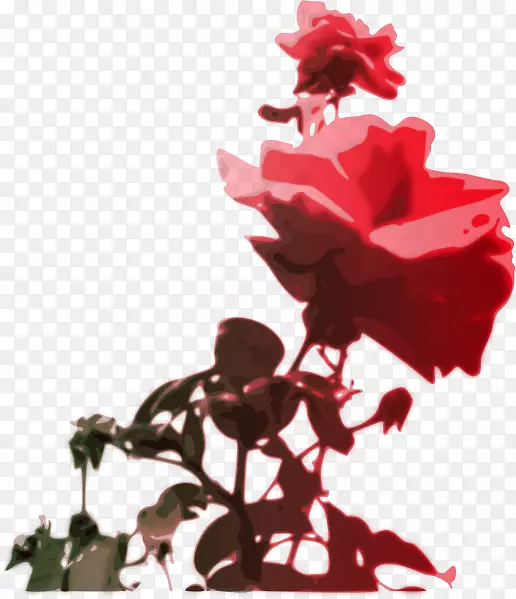 黑玫瑰插花艺术.开花
