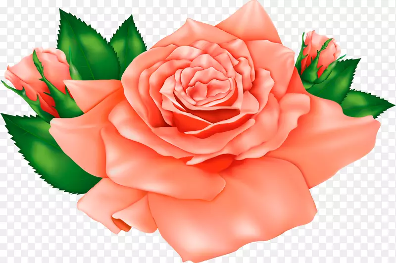 玫瑰插花艺术-桃花