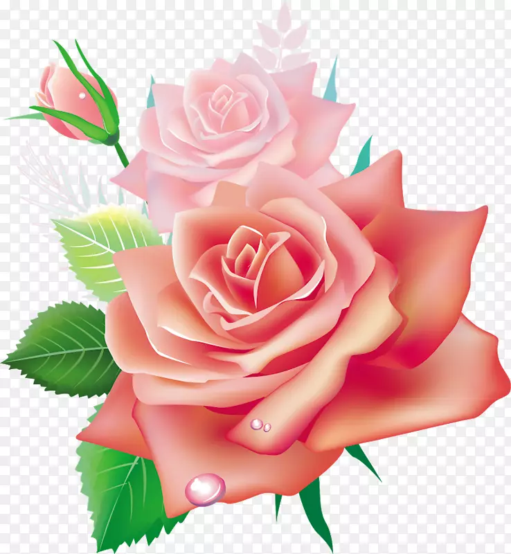 玫瑰花粉色剪贴画彩花