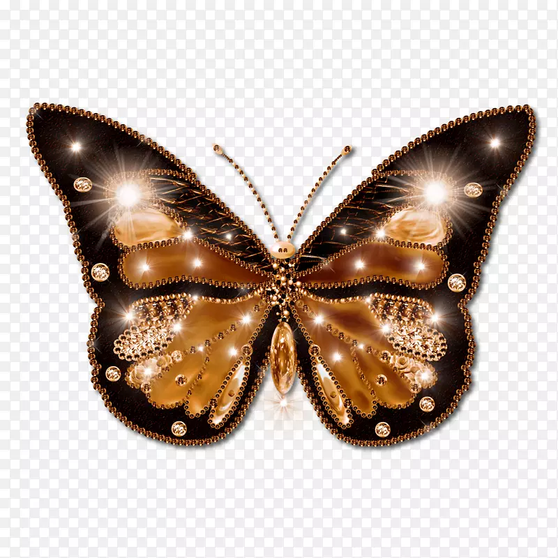 蝴蝶桌面壁纸夹艺术-美丽的蝴蝶