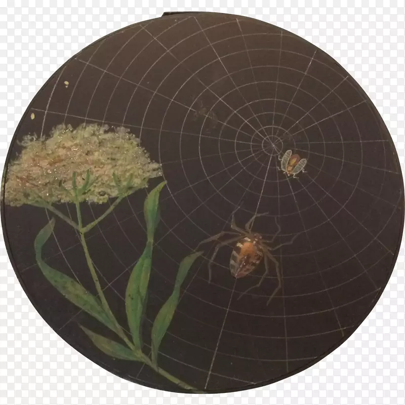 蜘蛛网无脊椎动物圈手绘精致花边