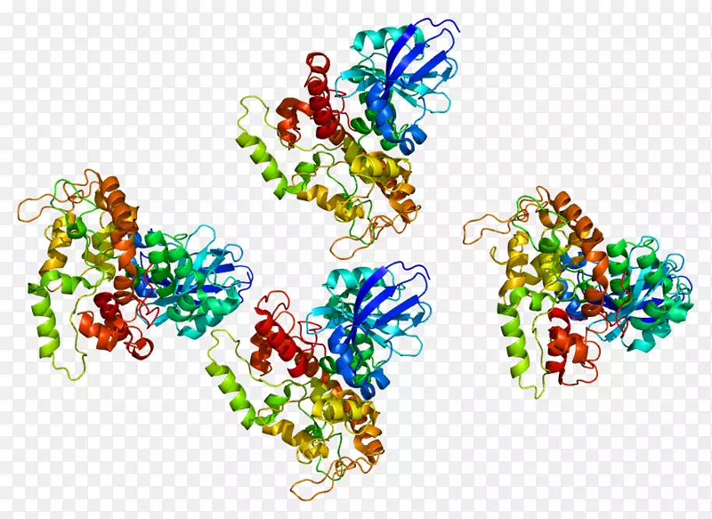 蛋白激酶a lrba缺乏症脂质锚定蛋白a激酶锚定蛋白