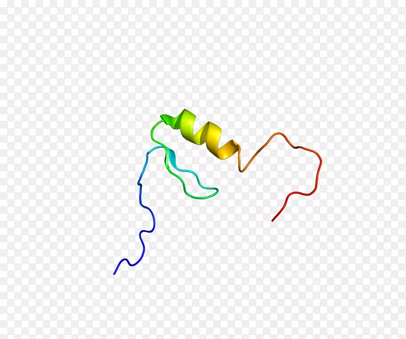 线点技术-蛋白质