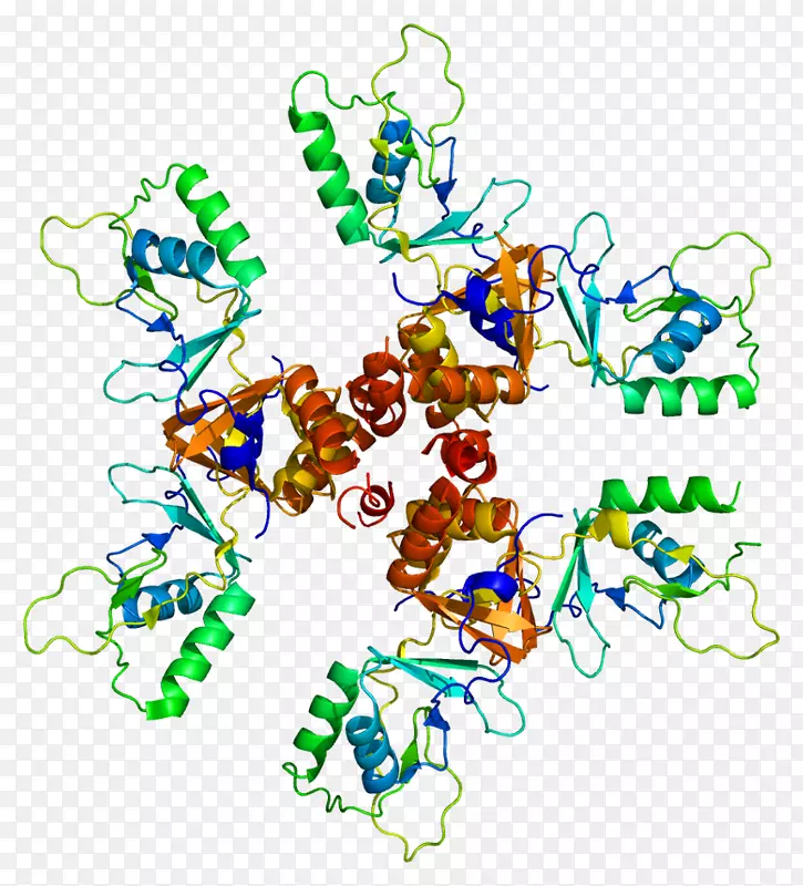氯离子通道基因转运蛋白