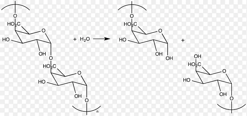 聚半乳糖醛酸酶果胶酶水解中间层机理