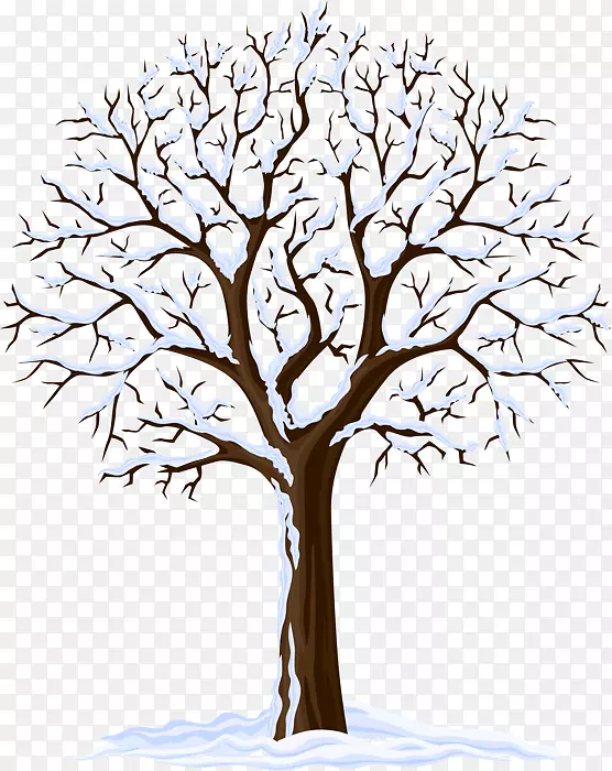 免费冬季摄影-绘画树木