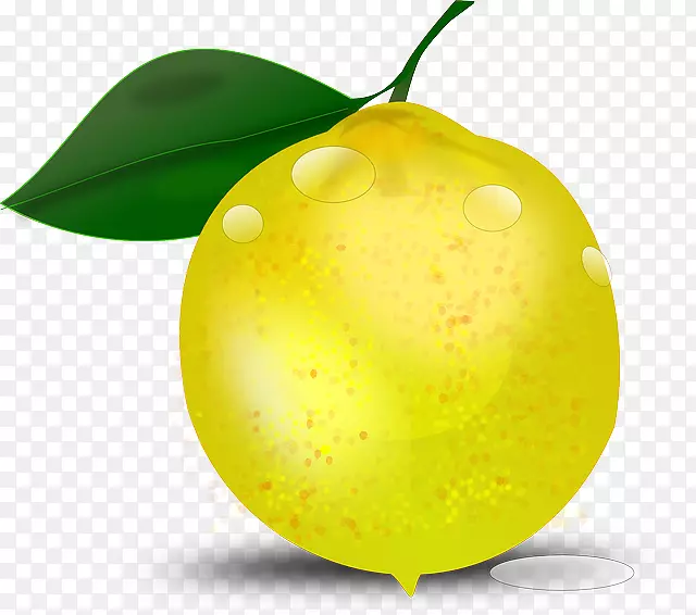 柠檬剪贴画夏季热带植物