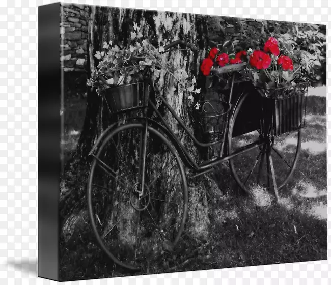 黑白单色摄影长廊包裹机动车辆-花车自行车