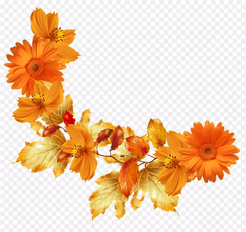 秋叶彩花画框剪贴画橙色花朵