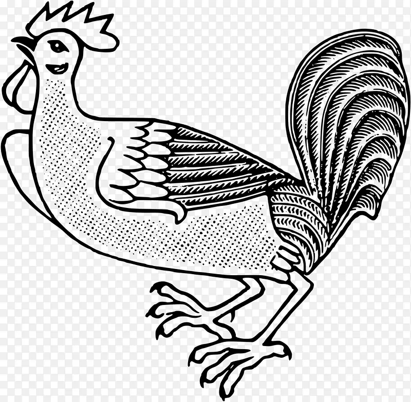 鸡夹艺术-大公鸡