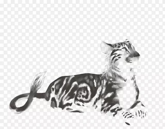 猫科虎狮豹-斑纹墨水