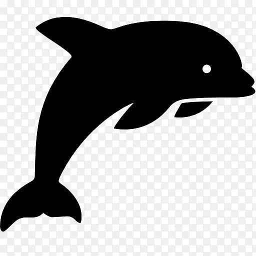 电脑图标海豚下载跳海豚