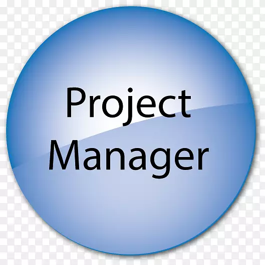 动态系统开发方法管理业务土坯经验经理公司-项目管理
