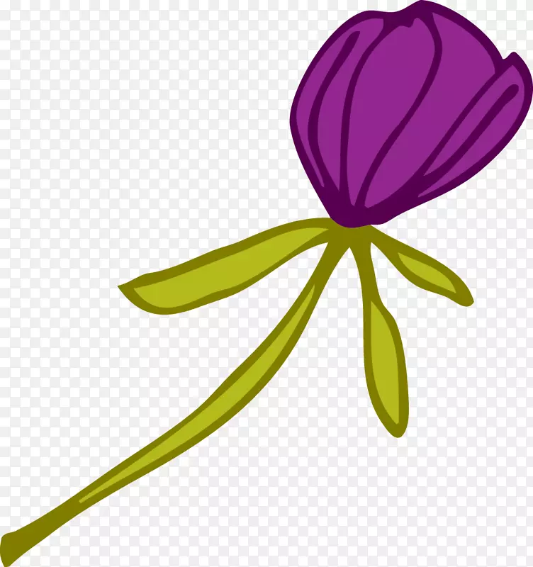 黄花紫色植物紫罗兰紫郁金香