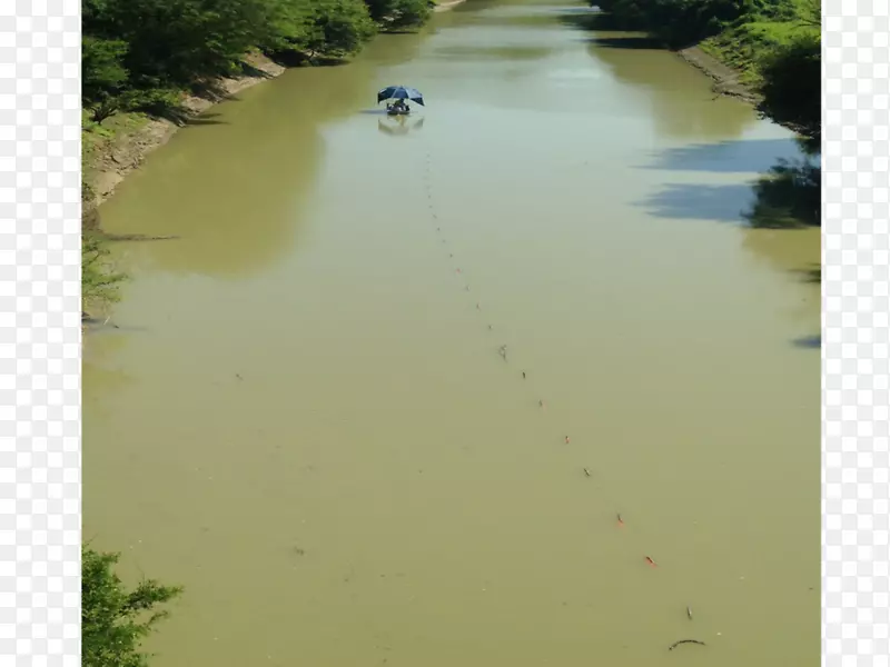 巴尤滨河水道水资源-亚马逊河