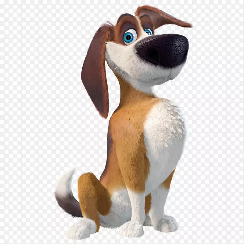 Beagle youtube蓝光光盘电影院-宠物狗