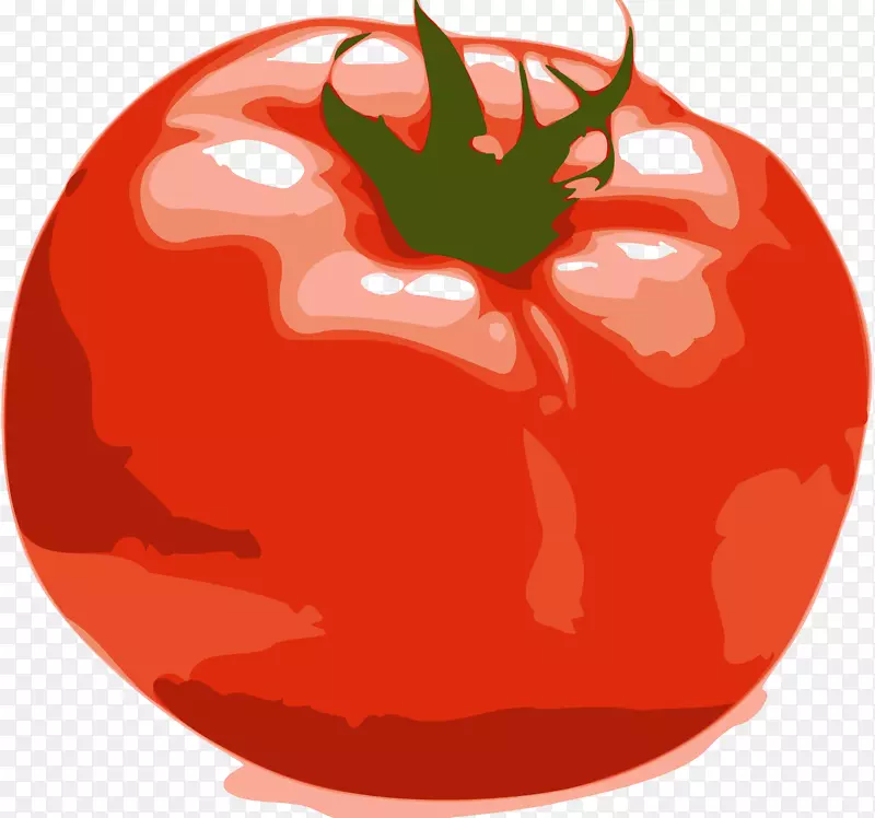 罗马番茄汤加沙拉夹艺术.番茄片