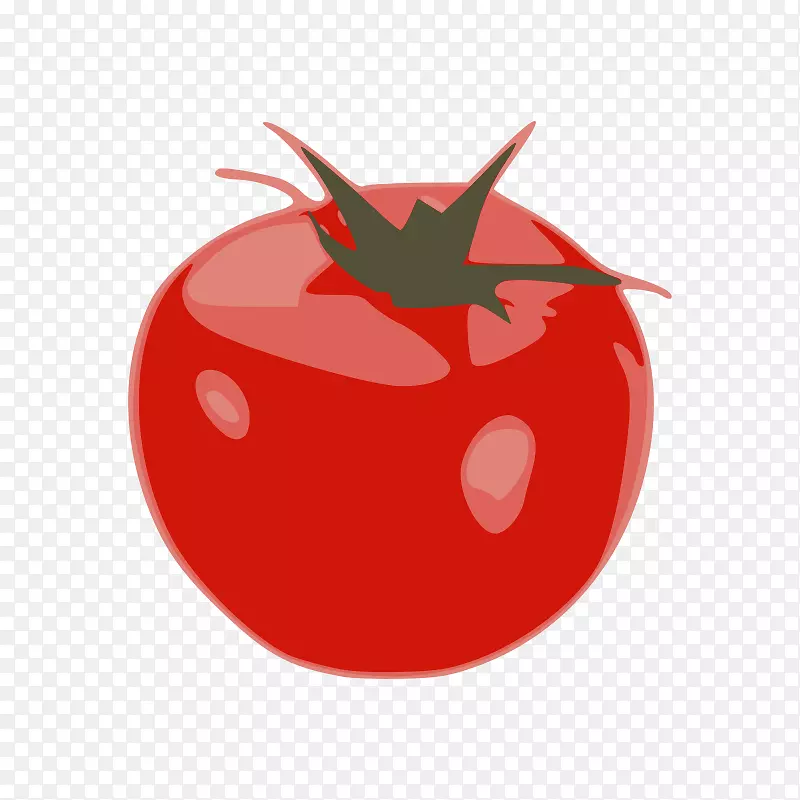 番茄保健蔬菜剪贴画.番茄片