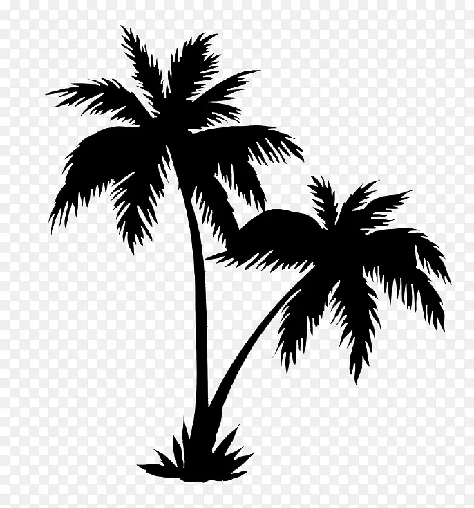 不含版税的槟榔科绘画树-棕榈树轮廓