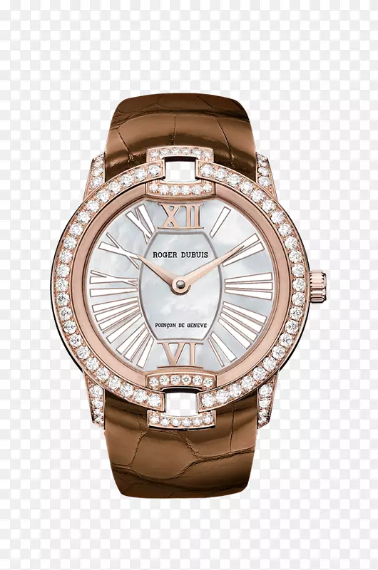 手表表带Roger Dubuis珠宝.高清晰度不规则形状光效应