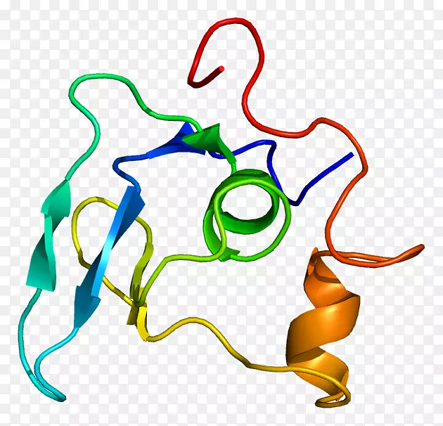 人细胞内纤维蛋白1蛋白马凡综合征的在线孟德尔遗传