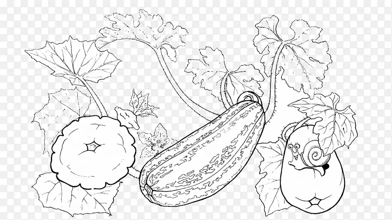 绘制西葫芦南瓜着色书植物-现实杏仁