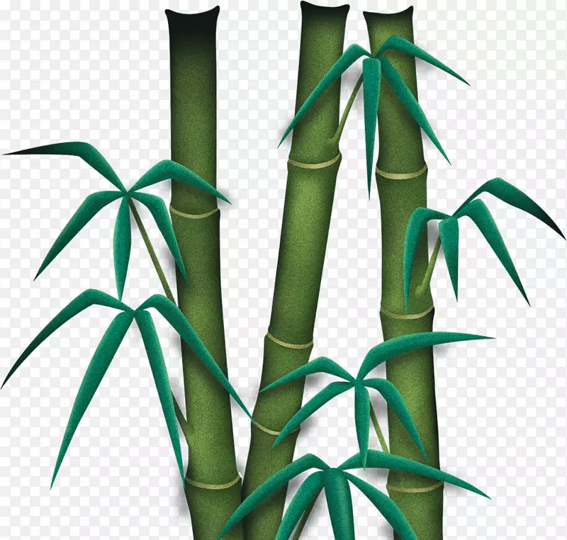 竹类植物茎系字体竹材