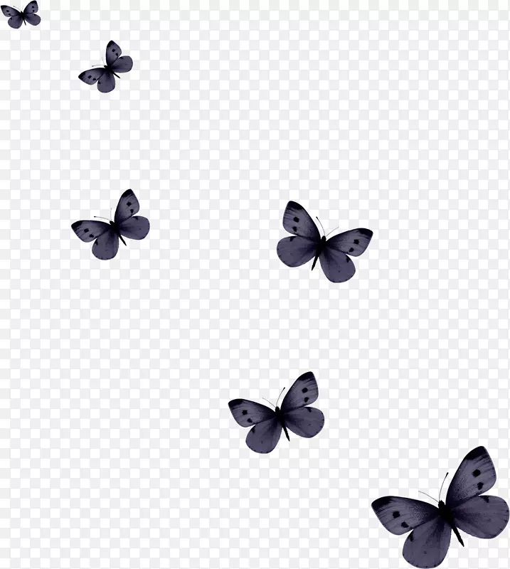 蝴蝶电脑图标.蝴蝶图案
