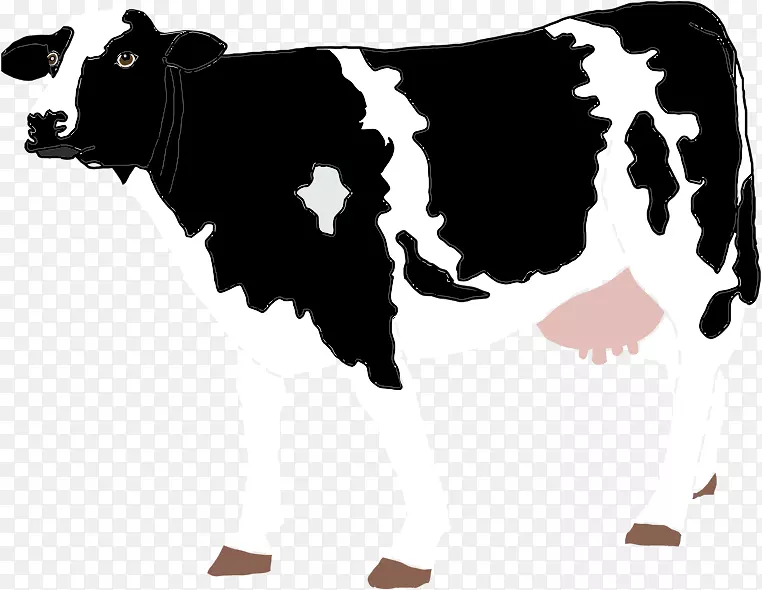 荷斯坦，弗里西亚牛，小牛，克拉拉贝尔牛，艾尔郡牛，奶牛场动物
