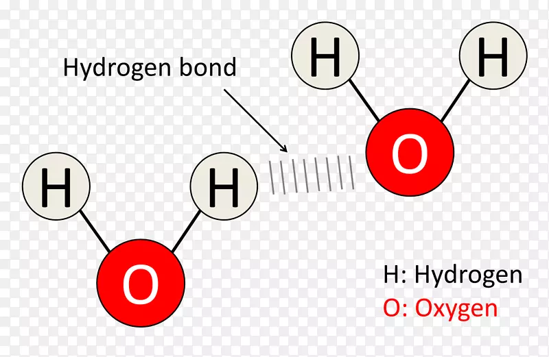 氢键分子水化学键氧泡图