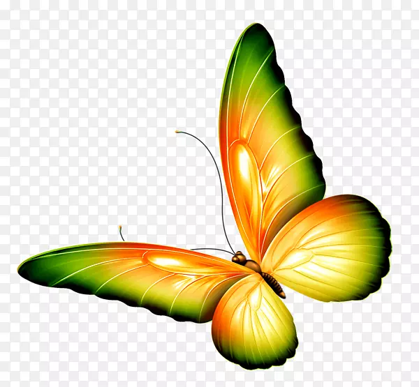 极顽固不化的蝴蝶被金耶尔·恩瓦卡玛昆虫帝王蝴蝶，美丽的花园诗由华莱尔·恩瓦坎玛-黄景画按类别分类。