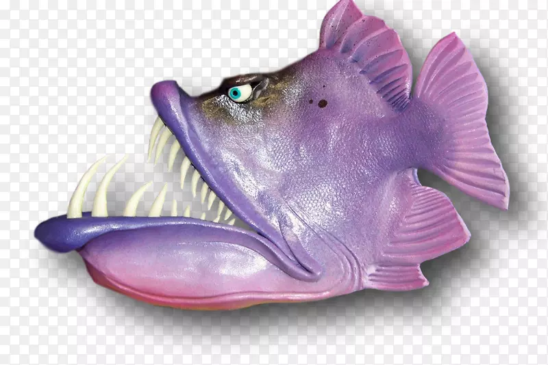 紫丁香紫鱼生物-紫鱼
